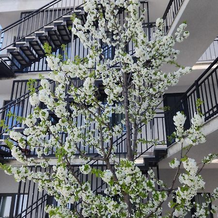 Khorgo Hotel Gori Bagian luar foto
